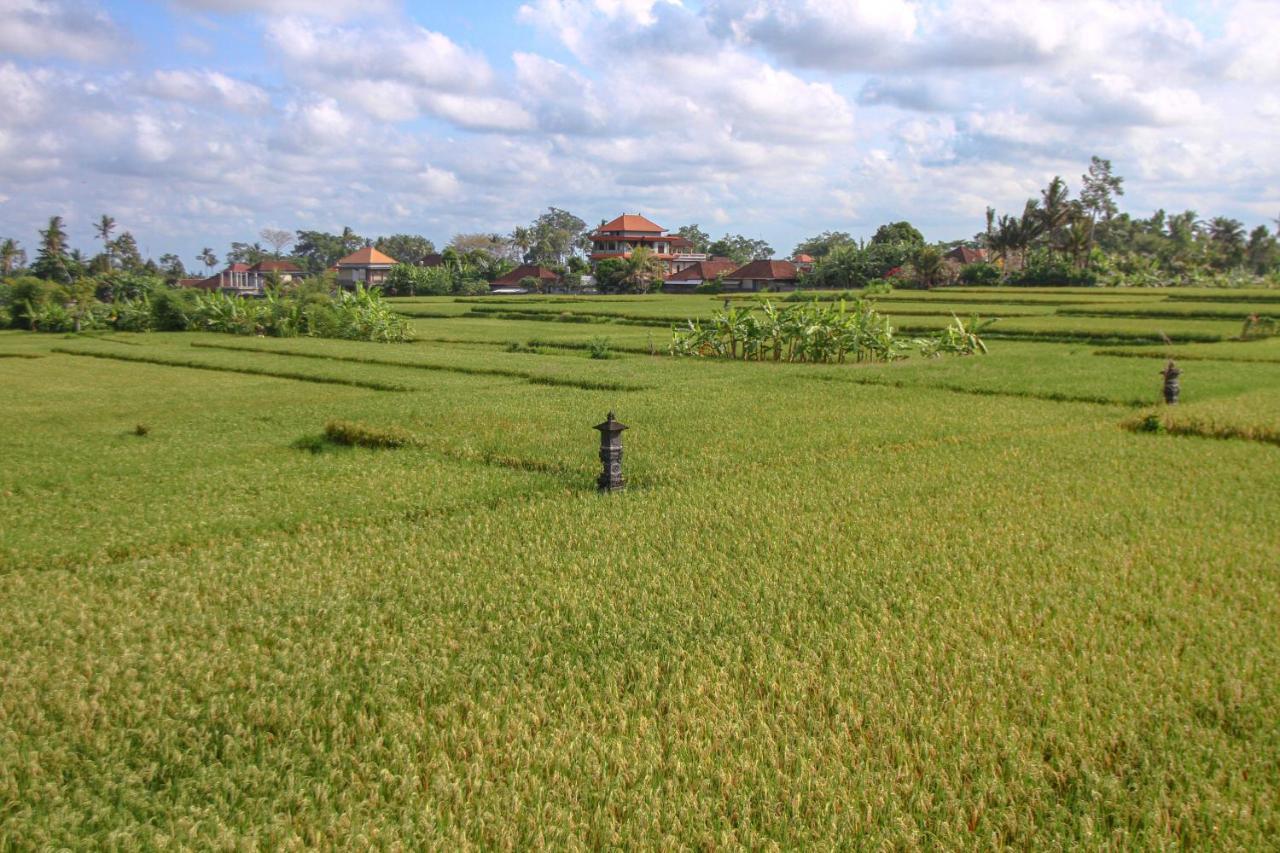 Kubu Sari Ubud מראה חיצוני תמונה