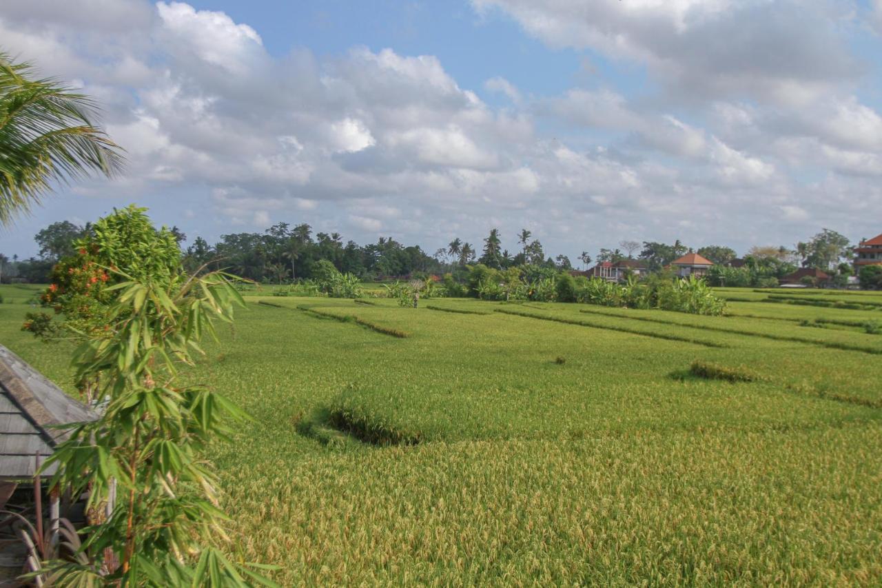 Kubu Sari Ubud מראה חיצוני תמונה