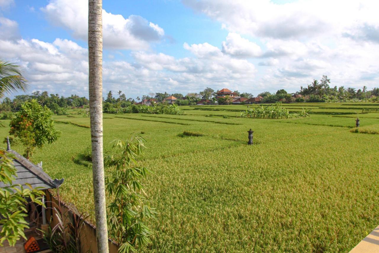 Kubu Sari Ubud מראה חיצוני תמונה